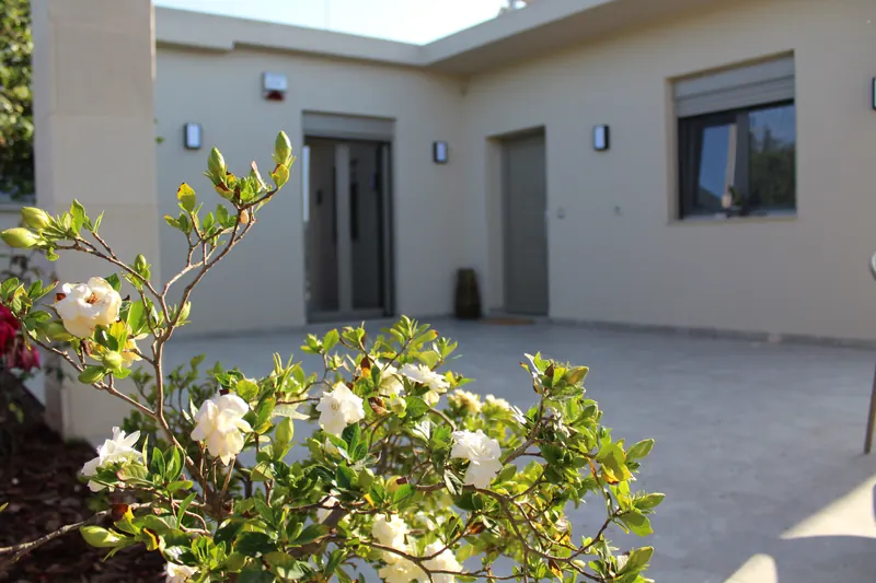 White gardenia flowers in the foreground, the front door and windows of the house behind
