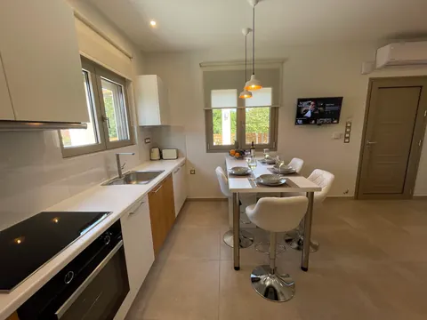 The kitchen with oven, hob and sink, the high table beyond